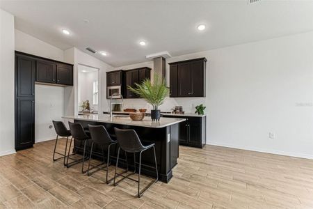 New construction Single-Family house 11822 Moonsail Dr, Parrish, FL 34219 - image 11