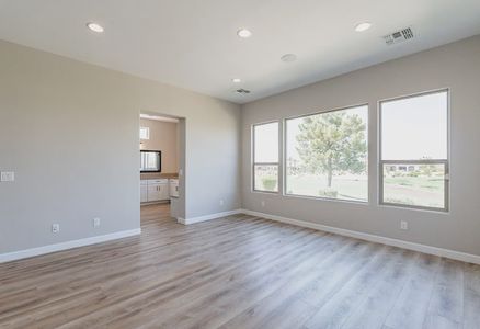 New construction Single-Family house 588 E Peach Tree St, San Tan Valley, AZ 85140 Palermo- photo 20 20