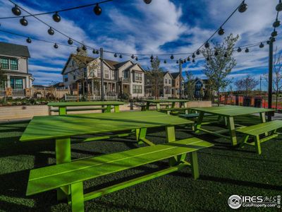 New construction Duplex house 155 Washington St, Erie, CO 80516 plan Villa Series Sassafras  - image 16