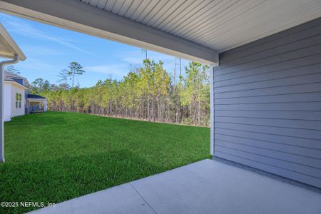 New construction Single-Family house 2238 Jennings Farm Dr, Middleburg, FL 32068 null- photo 6 6