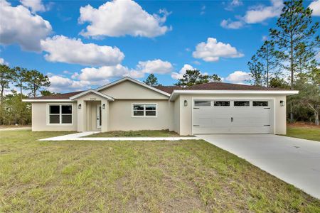 New construction Single-Family house 3559 W Webster Place, Citrus Springs, FL 34433 - photo 0