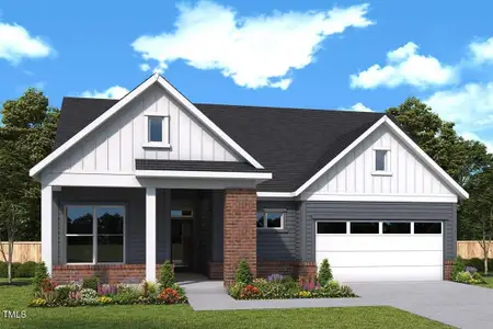 New construction Single-Family house 146 Aspen Ave, Pittsboro, NC 27312 - image