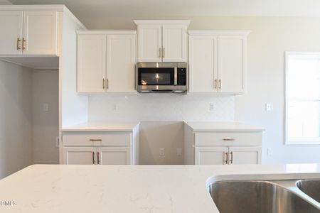 New construction Single-Family house 200 Hudson Village Dr, Unit (Lot 13), La Grange, NC 28551 - image 4