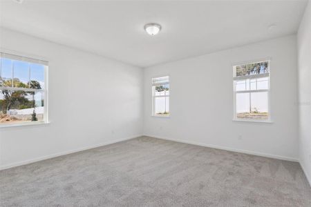 New construction Single-Family house 3704 Watercliff Cir, Grand Island, FL 32735 - image 15