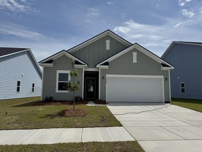New construction Single-Family house 4008 Lemon Grass Ln, Ravenel, SC 29470 - image