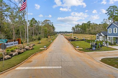 New construction Single-Family house 11958 Midas Ln, Willis, TX 77378 Blake- photo 20 20