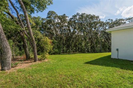 New construction Single-Family house 279 W Pearson St, Hernando, FL 34442 - image 6