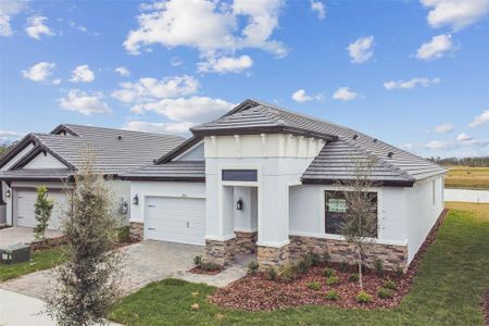 New construction Single-Family house 2416 Wise River Ln, Zephyrhills, FL 33541 50' - Solana- photo 0