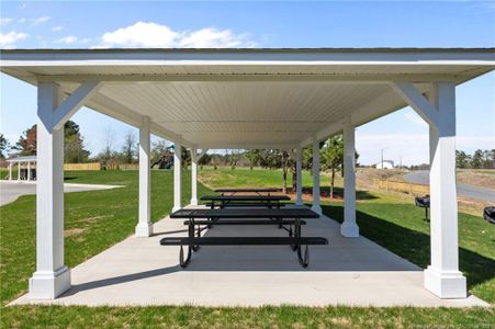 New construction Single-Family house 416 Black Duck Ln, Lillington, NC 27546 plan Hinton - image