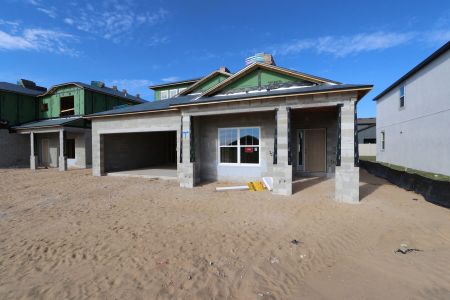 New construction Single-Family house 38413 Pindos Dr, Dade City, FL 33525 Picasso Bonus- photo 35 35