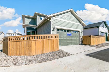 Painted Prairie Cottage by David Weekley Homes in Aurora - photo 13 13