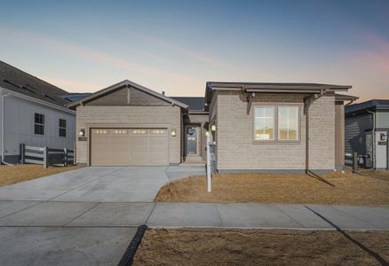 New construction Single-Family house 7254 Timberstone St, Castle Pines, CO 80108 plan 5082 Homestead Elevation B - Colorado Ranch - image