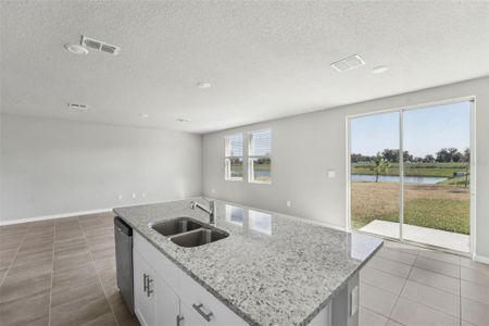 New construction Single-Family house 3910 Radiant Mountain Dr, Plant City, FL 33565 Redwood- photo 16 16