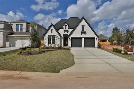 New construction Single-Family house 26536 Pioneer Pointe Ct, Montgomery, TX 77316 plan 2513W - image