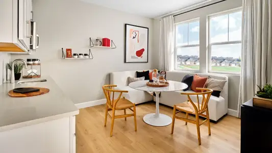 Parterre City Collection by Taylor Morrison in Thornton - image 6