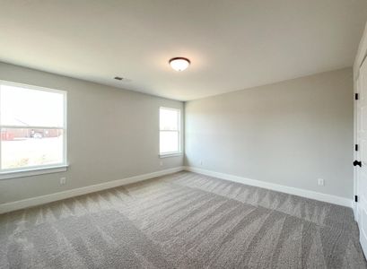 New construction Single-Family house 1720 Constitution Ln, Moore, SC 29369 plan Raleigh - image 19