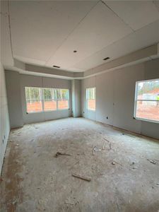 New construction Single-Family house 113 River Meadow Drive, Bethlehem, GA 30620 Barnes- photo 10 10