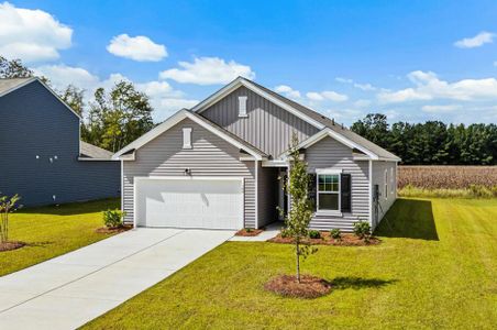 New construction Single-Family house 5294 Cottage Landing Dr, Summerville, SC 29485 plan Prism - image
