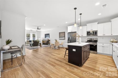 New construction Single-Family house 4207 Eagle Chase Dr, Charlotte, NC 28216 - image 14