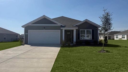 New construction Single-Family house 1015 Garden Sprout Dr, Galivants Ferry, SC 29544 plan Aria - image