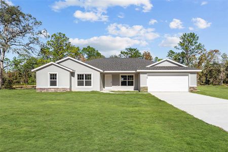 New construction Single-Family house 12369 Sw 81St St, Dunnellon, FL 34432 - image