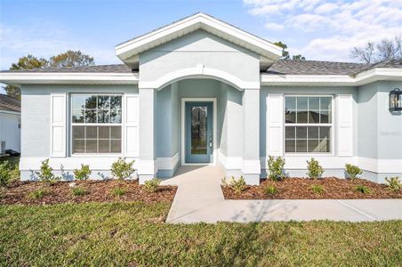 New construction Single-Family house 14 Poplar Dr, Palm Coast, FL 32164 null- photo 15 15