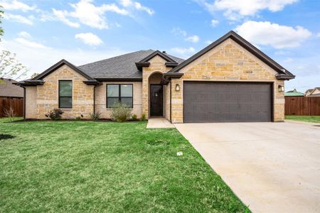 New construction Single-Family house 3310 Promenade Court, Granbury, TX 76049 - photo 0