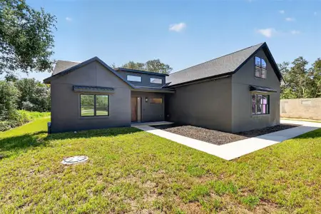 New construction Single-Family house 60 Guava Pass, Ocklawaha, FL 32179 - image