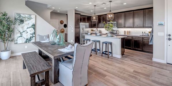New construction Single-Family house 43254 N Hinoki St, Queen Creek, AZ 85140 Colony- photo 5 5