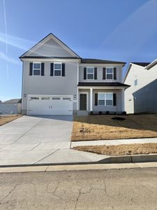 New construction Single-Family house 528 Windflower Pass, Antioch, TN 37013 - image