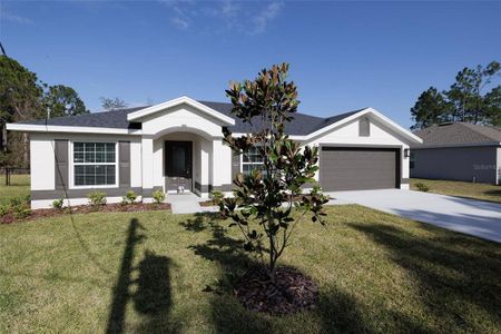New construction Single-Family house 40 Butternut Dr, Palm Coast, FL 32137 - image