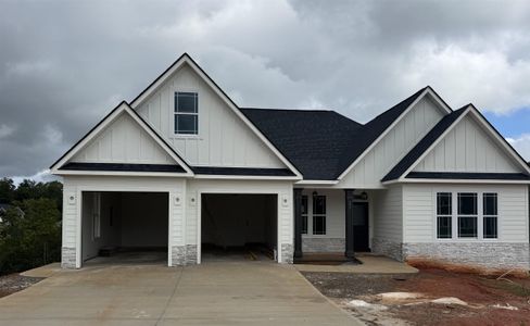 New construction Single-Family house 200 Eagles Crest Dr, Slater-Marietta, SC 29661 plan Beaumont  - image 12