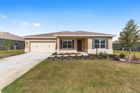 New construction Single-Family house 10313 Sw 106Th Ct, Ocala, FL 34481 - image