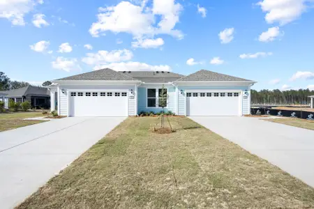 New construction Single-Family house 399 Walleye Blvd, Bluffton, SC 29909 plan Brilliance - image