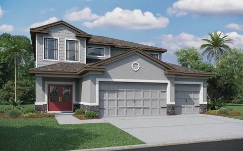 New construction Single-Family house 8201 Tilapia Pl, New Port Richey, FL 34654 plan Portofino - image