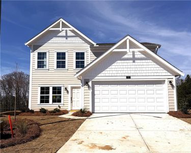 New construction Single-Family house 110 Alpine Ct, Dallas, GA 30132 - image