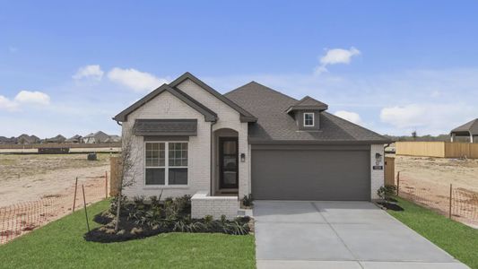 New construction Single-Family house 11239 White Crownbeard Dr, Elgin, TX 78621 plan Lanai - image