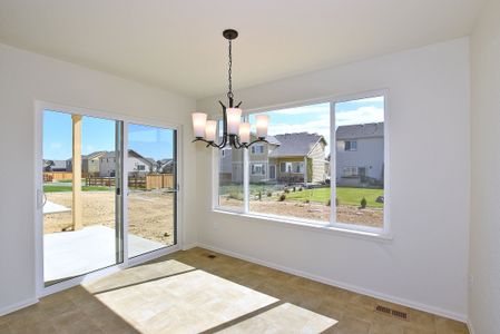 New construction Single-Family house 437 Vivid Ln, Windsor, CO 80550 null- photo 19 19