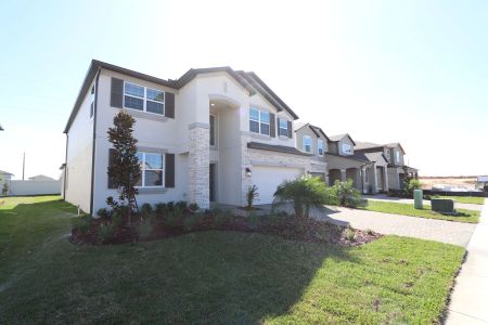 New construction Single-Family house 38338 Tobiano Loop, Dade City, FL 33525 Mira Lago- photo 158 158