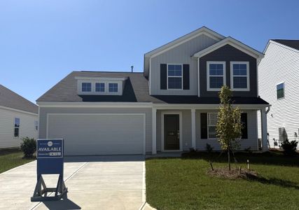 New construction Single-Family house 735 Clementine Run, Gilbert, SC 29054 plan Pickens - image