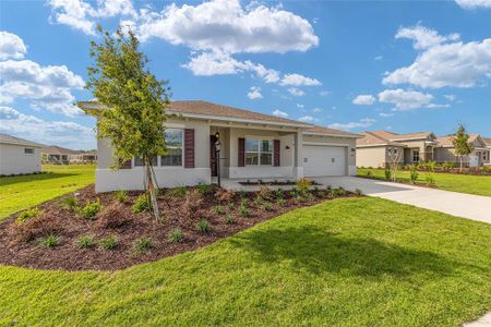 New construction Single-Family house 10693 Sw 102Nd Ln, Ocala, FL 34481 - image 20