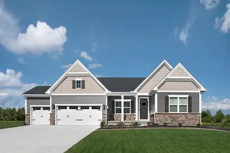 New construction Single-Family house 126 Cummings Chapel Rd, Ridgeville, SC 29472 plan Savannah Ranch - image