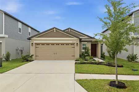 New construction Single-Family house 35298 Ackley Trce, Zephyrhills, FL 33541 - image