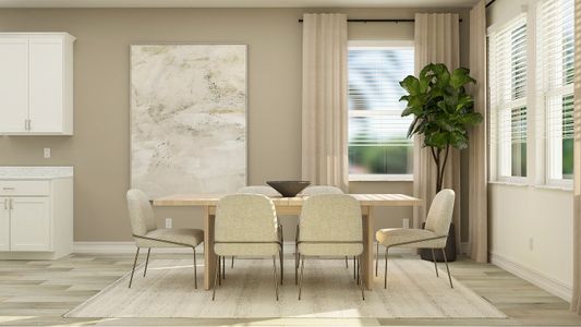 New construction Single-Family house 11427 Flourish Dr, Land O' Lakes, FL 34637 plan Preston - image