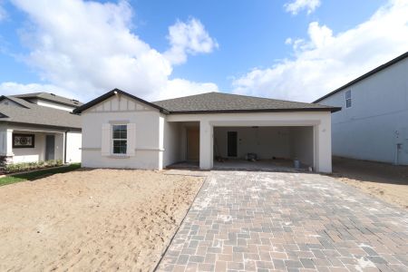 New construction Single-Family house 12188 Hilltop Farms Dr, Dade City, FL 33525 Ventura- photo 70 70