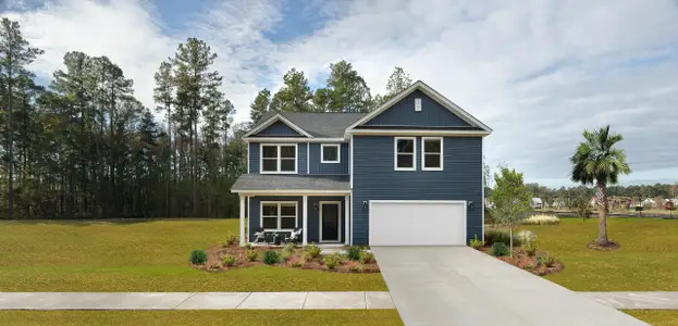 New construction Single-Family house 5360 Crinum Lily Dr, Summerville, SC 29485 - image
