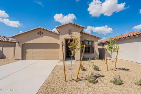 New construction Single-Family house 24242 W Hilton Ave, Buckeye, AZ 85326 plan Castillo Series - Acacia - image