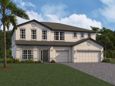 New construction Single-Family house 4969 Eagle Rock Dr, Wimauma, FL 33598 null- photo 9 9