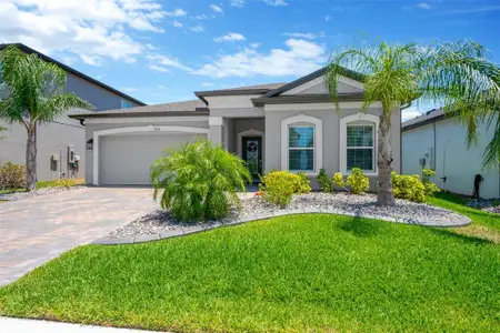 New construction Single-Family house 3078 Marine Grass Dr, Wimauma, FL 33598 Marque- photo 0