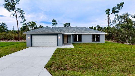 New construction Single-Family house 11 Malauka Pass, Ocklawaha, FL 32179 - image